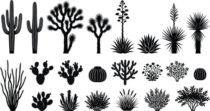 Desert Cactus and Succulent Silhouette Collection Vector Set