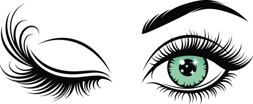 Beautiful green eye with long black lashes and groomed eyebrow winking in a professional fashion vector illustration.