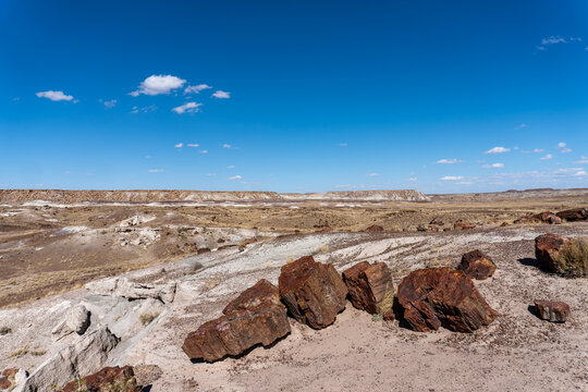 Petrified Forest National Park in Arizona. Jasper Forest (First Forest). Late Triassic trees were covered by volcanic ash. Silica formed quartz crystals replacing organic matter petrifying the wood.