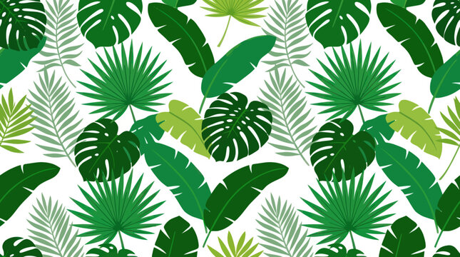 Tropical green leaves on white background.