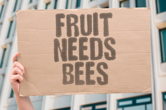 "Fruit Needs Bees" Commercially grown fruits require bee pollination for yields. COMMERCIALLY. REQUIRE. POLLINATION. YIELDS. BEE.