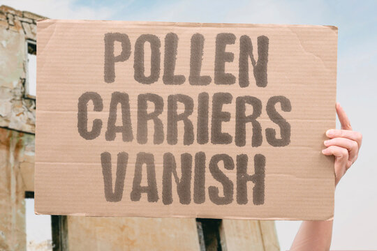 "Pollen Carriers Vanish" Wild bee species responsible for crop pollen transfer disappear rapidly. WILD. SPECIES. RESPONSIBLE. TRANSFER. DISAPPEAR.