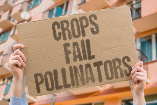 "Crops Fail Pollinators" Fruit and vegetable harvests collapse without sufficient pollination service. FRUIT. VEGETABLE. HARVESTS. SUFFICIENT. POLLINATION.