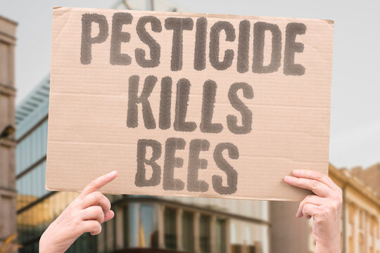 "Pesticide Kills Bees" Agricultural chemical applications systematically eliminate pollinator colonies. AGRICULTURAL. CHEMICAL. SYSTEMATICALLY. ELIMINATE. COLONIES.