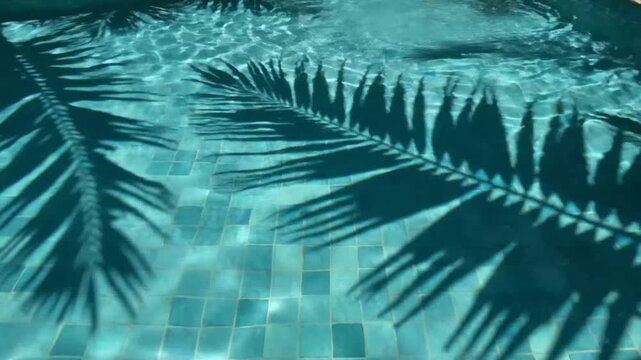 Shadows of palm leaves in a pool ideal for sleek commercial backgrounds and title sequences