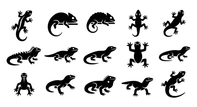 Collection of black lizard silhouettes on a white background, featuring various poses and species of reptiles