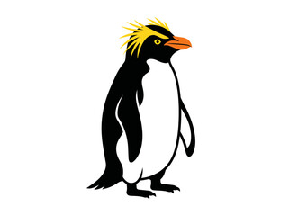 Fototapeta premium Vector illustration of a crested penguin