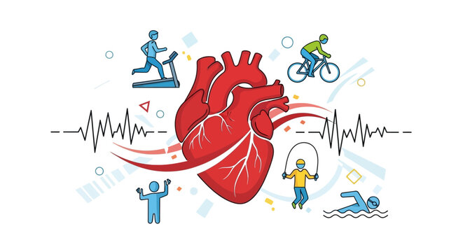 Anatomical human heart surrounded by healthy physical exercise icons.