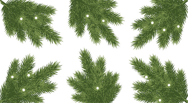 Six green pine branches with white dots on a white background evergreen christmas