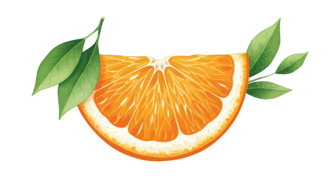 Watercolor Orange Slice with Leaves - Fresh Citrus Fruit Illustration
