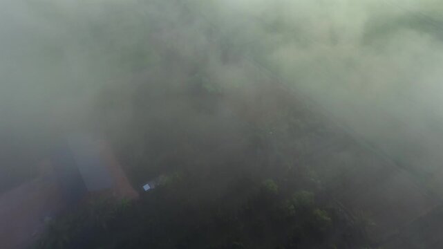 Cenital aerial shot of green agricultural land appearing through a layer of dense morning mist Features a smooth top down motion documenting the moody and atmospheric rural landscape from above