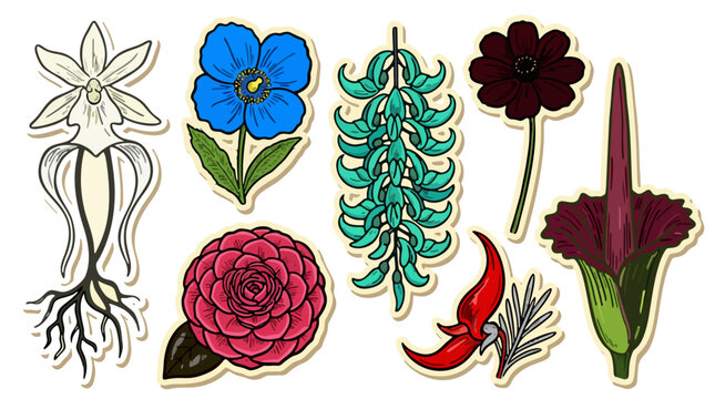 Rare Exotic Botanical Flower Sticker Set with Orchid and Corpse Flower