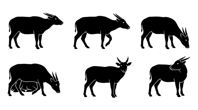 anoa silhouettes in side profile, solid black shapes, each in a different pose such as standing, walking.