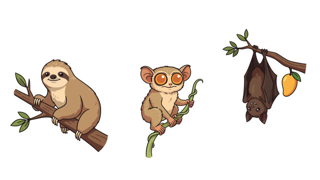 Collection of three cute cartoon animals: a sloth, a tarsier, and a bat hanging from a branch with a mango.