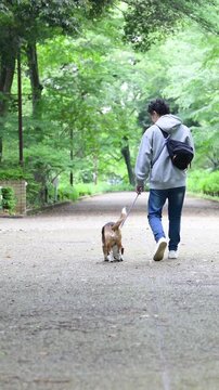 ビーグルを飼う男性、犬と散歩する笑顔ポートレート、動物との暮らしのライフスタイル　躾や訓練のイメージの顔無しの後ろ姿の縦動画