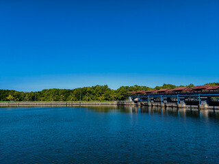 Obraz premium Beautiful Landscape of Estuary Dam with Blue Sky and Green Mangrove Forest