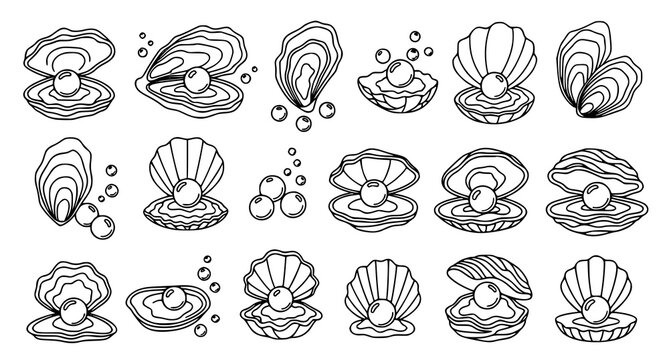 Black and white oyster shells with pearls collection hand drawn style vector illustration