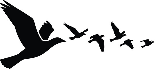 Geese Flying in Formation Silhouette © Jawad