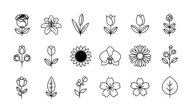 Flower icons vector thin line editable stroke botanical illustration