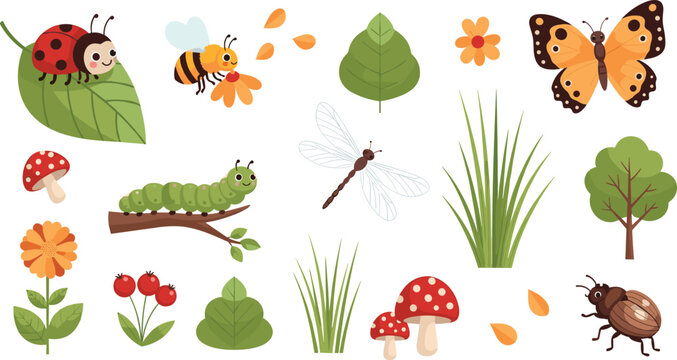 Cute garden insect collection with ladybug butterfly bee caterpillar dragonfly and nature elements like flowers mushrooms and leaves.Cute garden insect collection with ladybug butterfly bee caterpilla