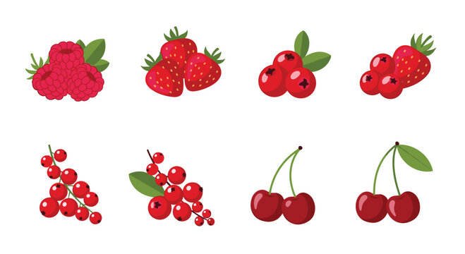 A diverse collection of eight fresh red berry varieties including raspberries, strawberries, cranberries, currants, and cherries arranged on a clean white background.