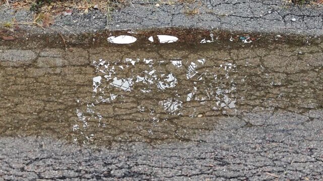 Water pooling on damaged road surface.