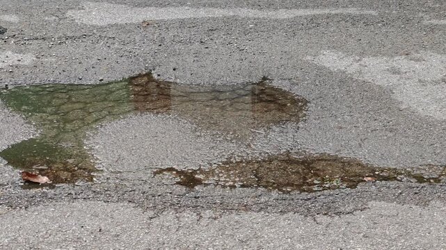 Water pooling on damaged road surface.
