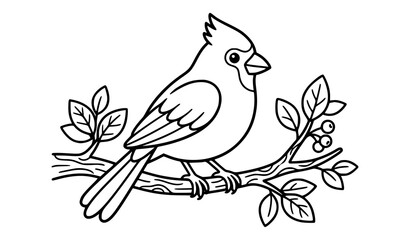 Fototapeta premium Cardinal Bird Sitting on Branch Black and White Coloring Book Vector Illustration for Kids