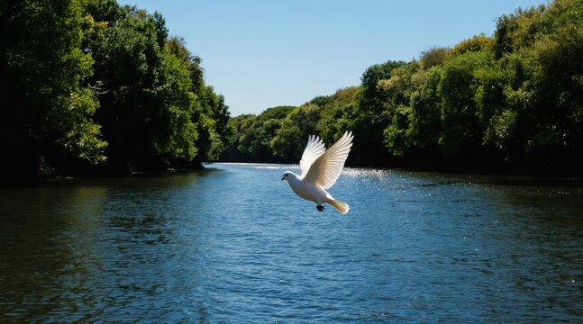 White dove flies low over blue river water. Green forest banks flank waterway under bright clear sky. Bird wings spread wide showing feathers in flight.