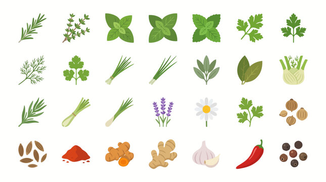 Vector Icons Set of culinary herbs and spices icons. EPS Editable