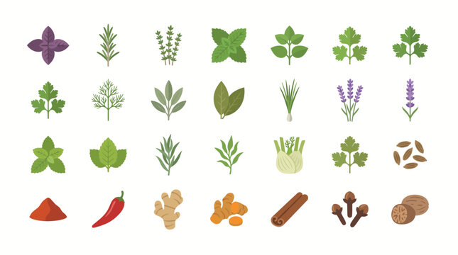 Vector Icons Set of fresh aromatic herbs and various culinary spices icons. EPS Editable