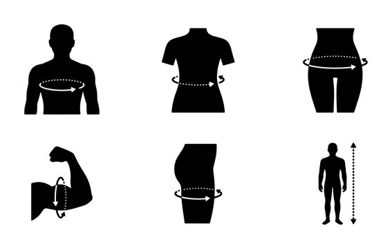 Body Measurement Icons Set, Silhouette Figures Illustrating Circumference and Height, Fashion and Tailoring Graphics