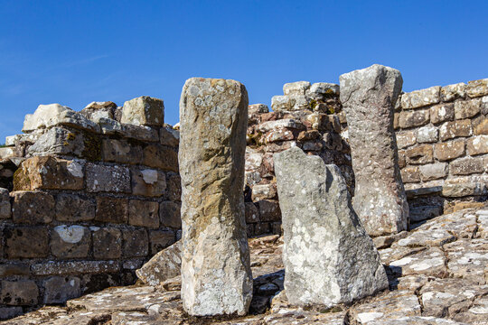 View of the ancient stone pillars and weathered masonry walls at the Vindolanda Roman fort archaeological site under a clear blue sky Hexham, England, United Kingdom.