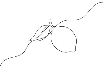 Obraz premium Lemon Fruit Continuous One Line Drawing Minimal Citrus Outline Organic Food Vector Illustration