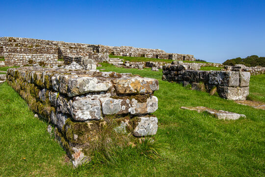 View of the ancient stone walls and archaeological remains of Vindolanda Roman fort under a clear blue sky in Hexham, England, United Kingdom.