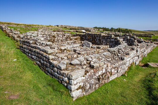 View of the ancient Roman ruins of Vindolanda featuring stone walls and foundations under a clear blue sky Hexham, England, United Kingdom.