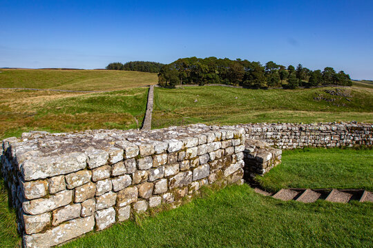 View of the ancient stone ruins of Vindolanda Roman fort with rolling green hills and a clear blue sky in Hexham, England, United Kingdom.