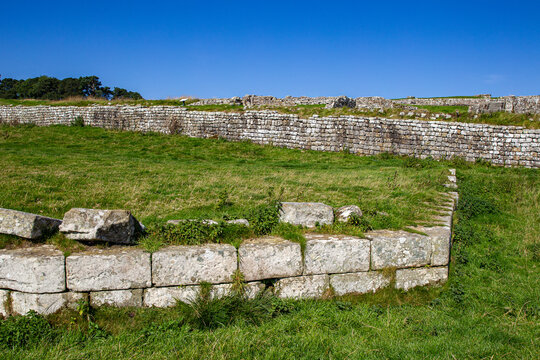View of the ancient stone walls and excavated ruins of Vindolanda Roman Fort set against green grassy fields and a clear blue sky in Hexham, England, United Kingdom.