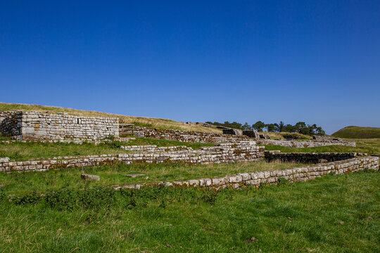 View of the ancient stone ruins of Vindolanda Roman Fort with low walls and grassy fields under a clear blue sky in Hexham, England, United Kingdom.