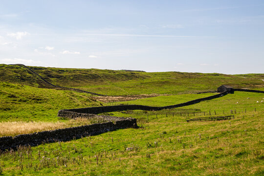 View of Vindolanda archaeological site with ancient stone walls winding through green rolling hills under a clear sky Hexham, England, United Kingdom.