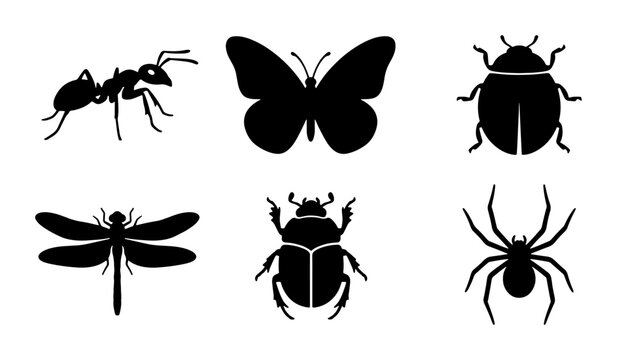 Insect Silhouettes Vector Collection: Ant, Butterfly, Beetle, Dragonfly, Spider Icons for Nature and Science Graphics