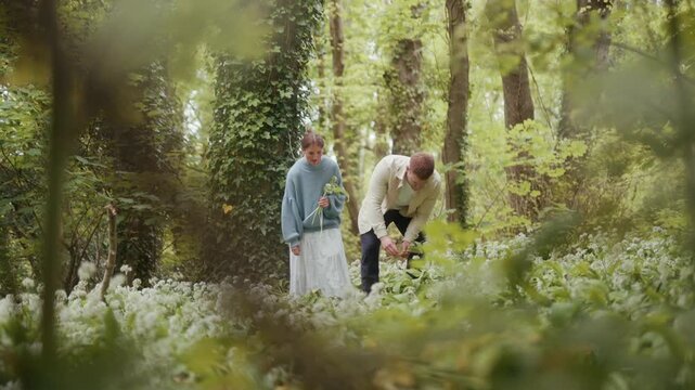 Couple Foraging Wild Garlic in Lush Green Woodland