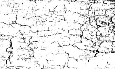 Fototapeta premium Close-up cracked and weathered white surface with irregular black fissures forming fragmented sections, distressed aged texture background for design, geology, or artistic use
