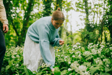 Fototapeta premium Young woman forages for wild garlic in a vibrant green woodland setting