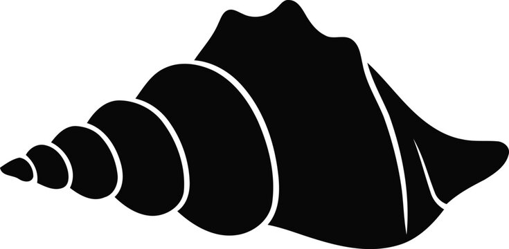 Black and white illustration of a conch shell with spiral design