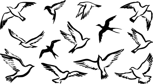 Silhouette of a flock of birds in dynamic flight, drawn with brush strokes