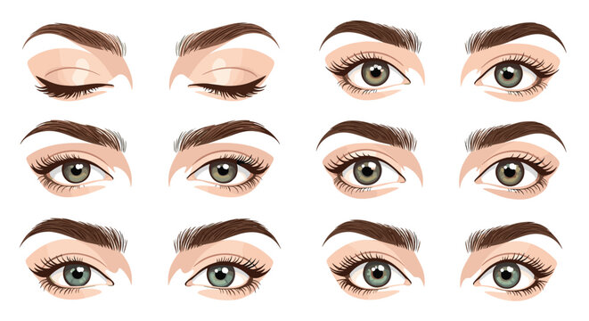 Detailed illustration showing a variety of female eye expressions with different eyelid positions and eyebrow shapes.