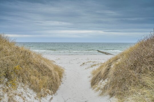 D&uuml;nen, Strand, Ostsee, Insel Hiddensee, Mecklenburg-Vorpommern, Deutschland