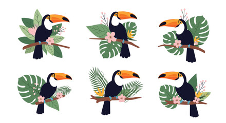 Fototapeta premium Collection of toucan birds perched on branches with tropical flowers and large green leaves in various compositions.