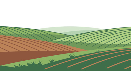 Rows of planted farmland fields. © albab